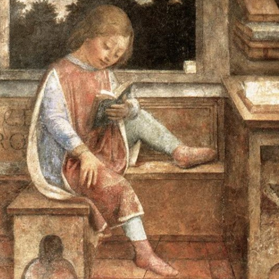 Picture of a student reading